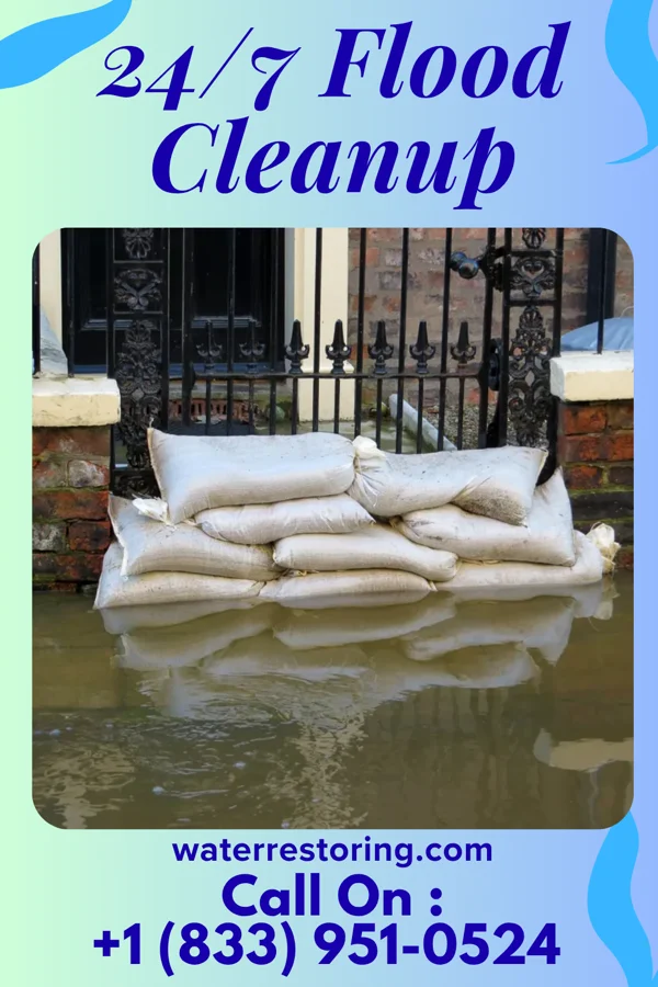 24/7 Flood Cleanup in Lodi, OH