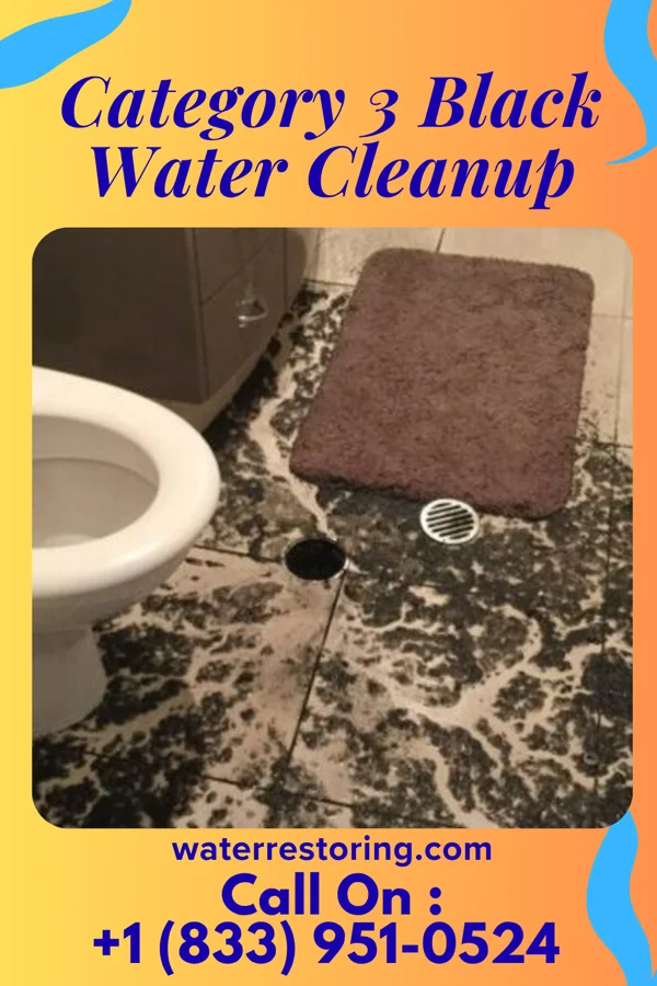 Category 3 Black Water Cleanup in Lodi, OH