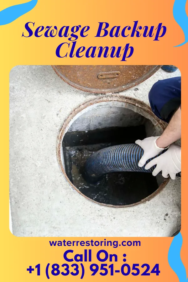 Sewage Backup Cleanup in Lodi, OH