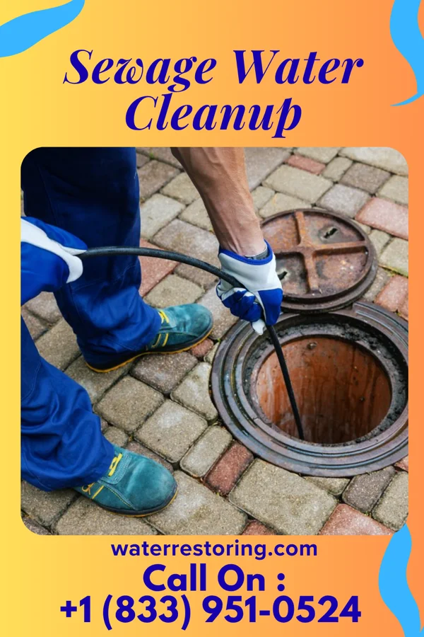 Sewage Water Cleanup in Lodi, OH